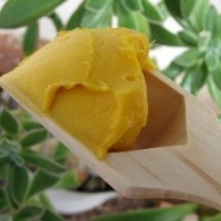 Beurre de Kpangnan : le karité doré